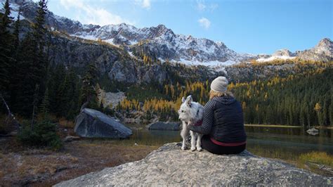 all trails dog mountain|dog friendly backpacking trails washington.